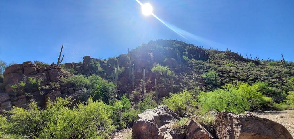 Camino de Oeste Trailhead | 415 N Camino De Oeste, Tucson, AZ 85745, USA | Phone: (520) 877-6000