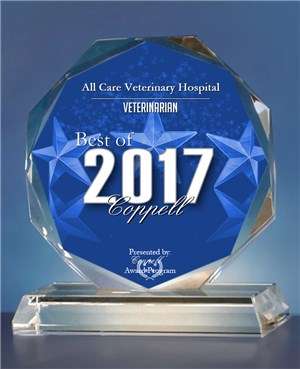 All Care Veterinary Hospital | 353 N Denton Tap Rd, Coppell, TX 75019, USA | Phone: (972) 393-7750