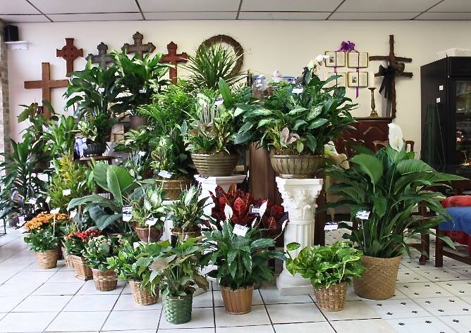 Flower Cottage of Deer Park | 4506 Center St, Deer Park, TX 77536, USA | Phone: (281) 542-6900
