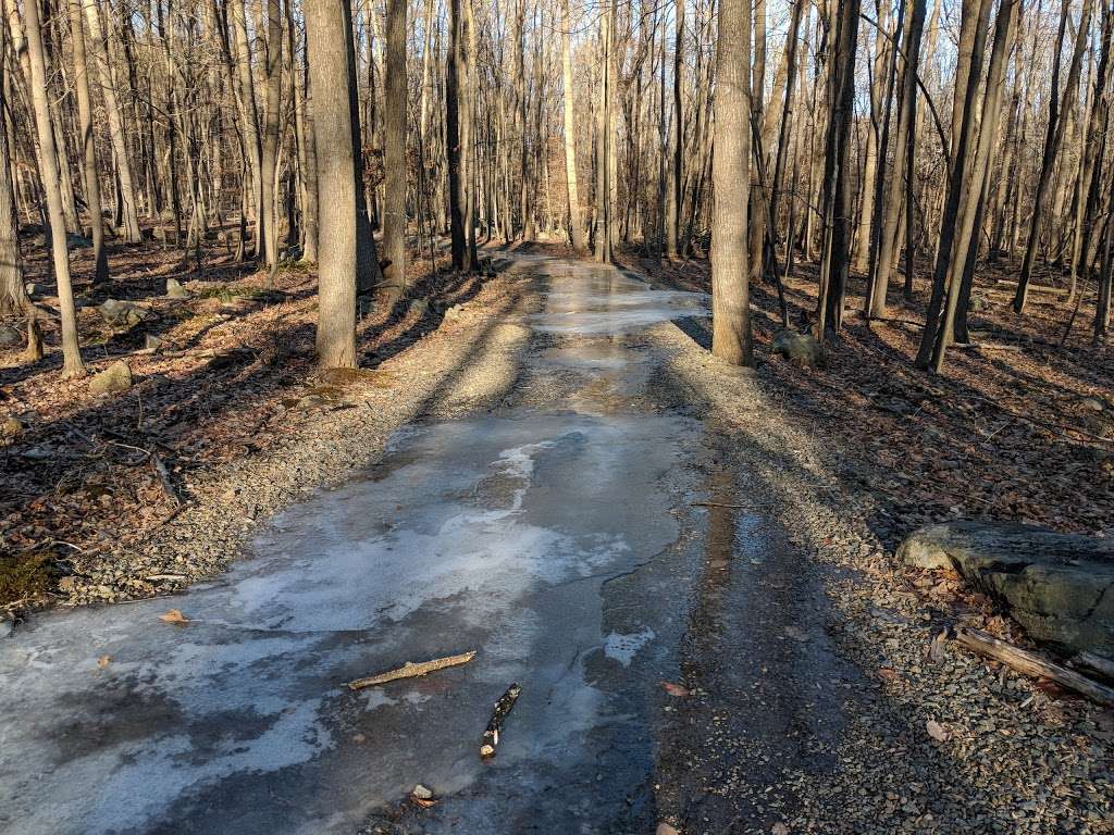 James Andrews Memorial County Park | W Hanover Ave, Randolph, NJ 07869, USA