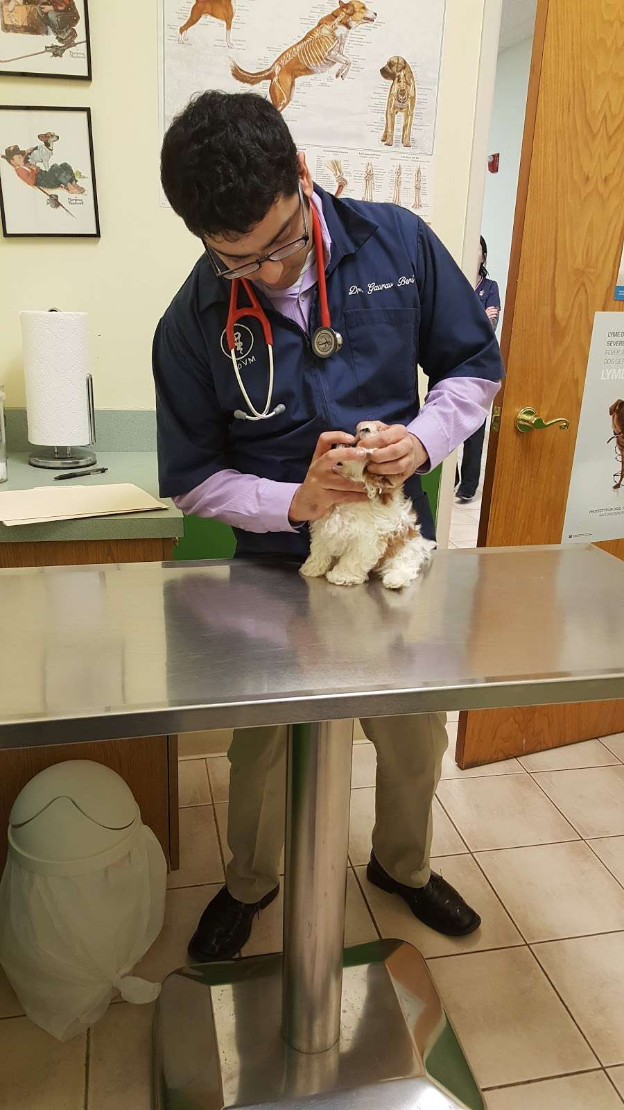 Crossroads Animal Hospital | 7154 Caton Farm Rd, Plainfield, IL 60586 | Phone: (815) 609-5444