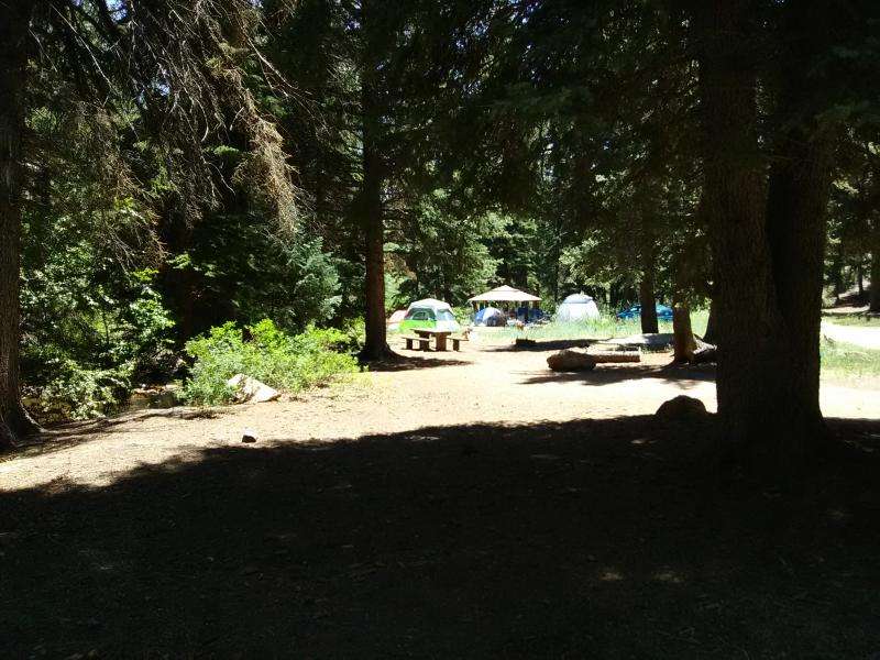 Goose Creek Campground | Sedalia, CO 80135, USA