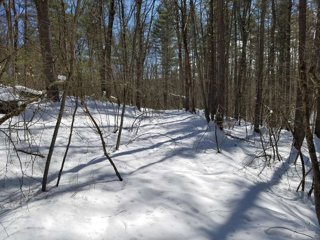 Upton State Forest | 205 Westboro Rd, Upton, MA 01568, USA | Phone: (508) 278-6486