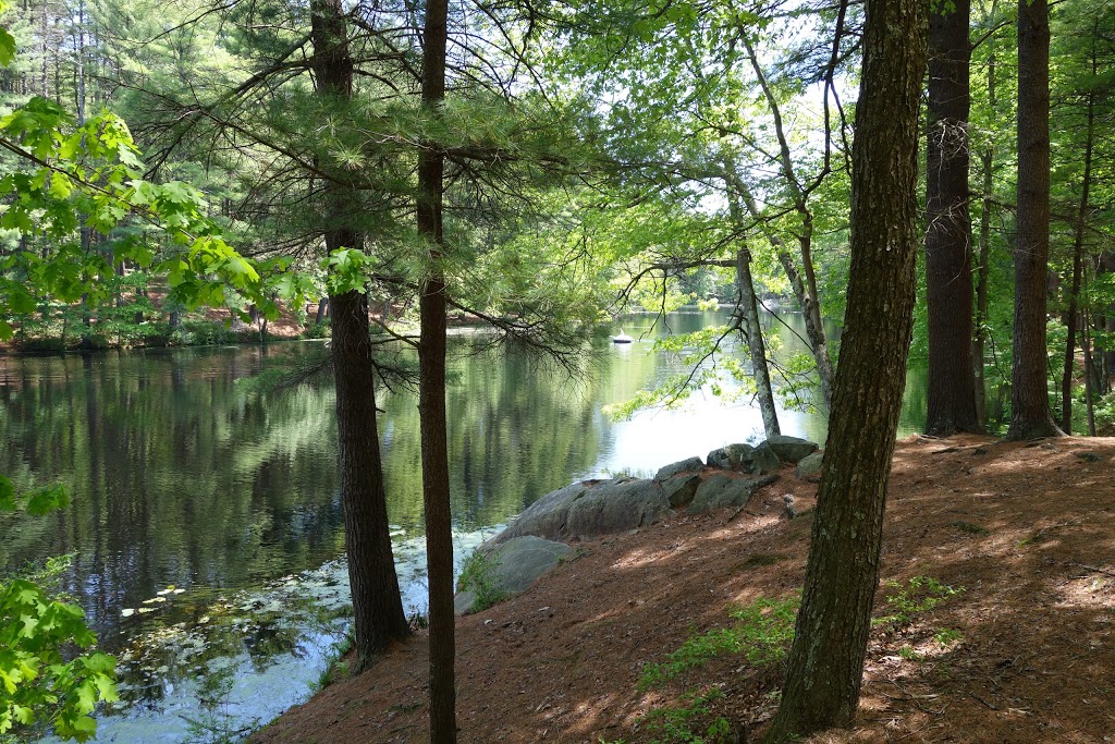 Harold Parker State Forest | 133 Jenkins Rd, Andover, MA 01810, USA | Phone: (978) 475-7972