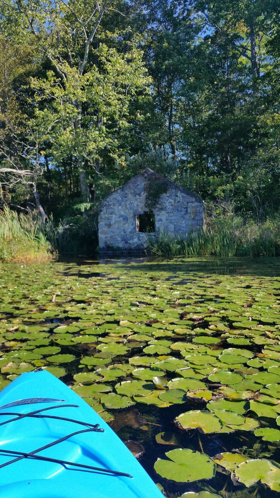 Little Swartswood Lake | Little Lake, Newton, NJ 07860, USA