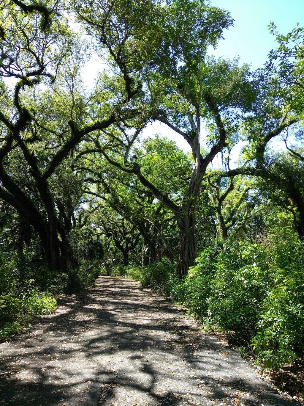 Long Key Natural Area & Nature Center | 3501 SW 130th Ave, Davie, FL 33330, USA | Phone: (954) 357-8797