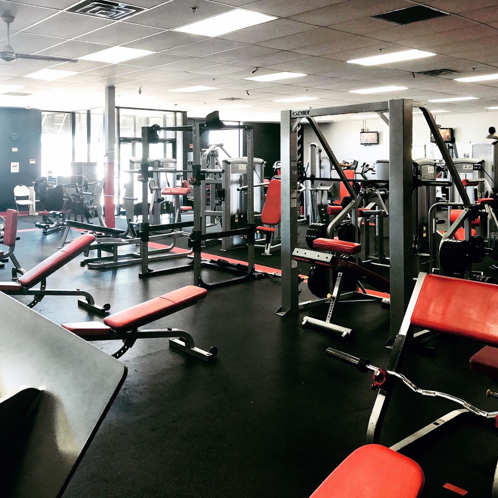 Rise Up. Health & Fitness | 7111 Orchard Centre Dr, Holland, OH 43528, USA | Phone: (567) 408-5811