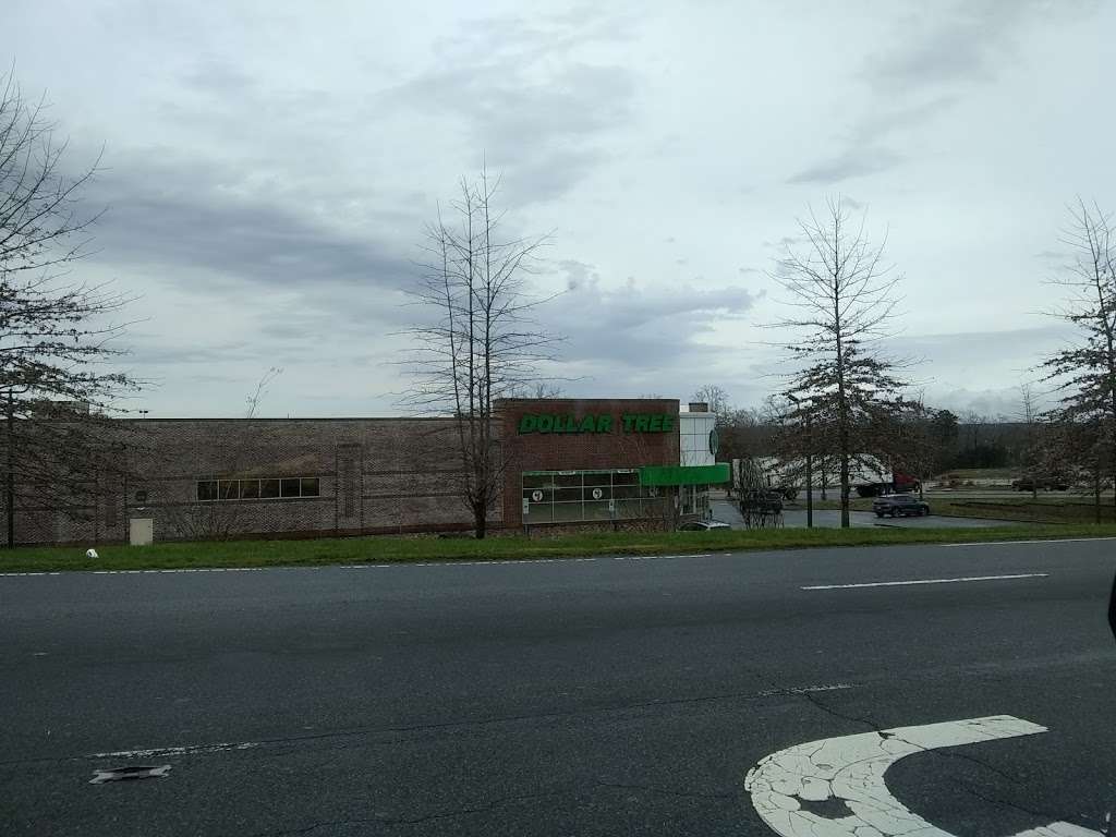 Dollar Tree | 107 Argus Ln, Mooresville, NC 28117, USA | Phone: (704) 360-6028