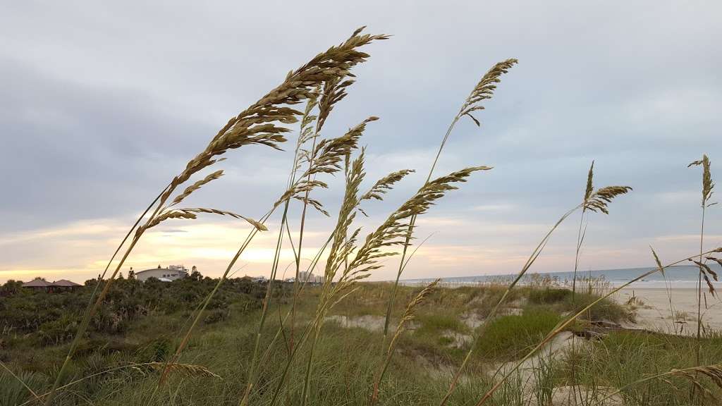 Smyrna Beach | Smyrna Dunes Park, New Smyrna Beach, FL 32169, USA