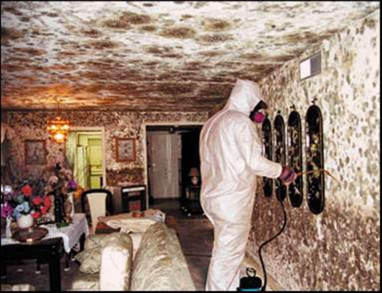 MJ Home Services & Flood Damage | 32354 Cea Dag Cir #304, Dagsboro, DE 19939, USA | Phone: (302) 444-6994