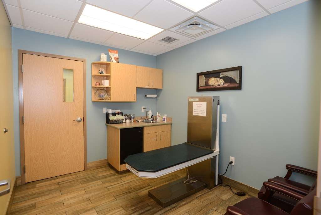 Fairland Animal Hospital | 13425 Old Columbia Pike, Silver Spring, MD 20904, USA | Phone: (301) 622-2115