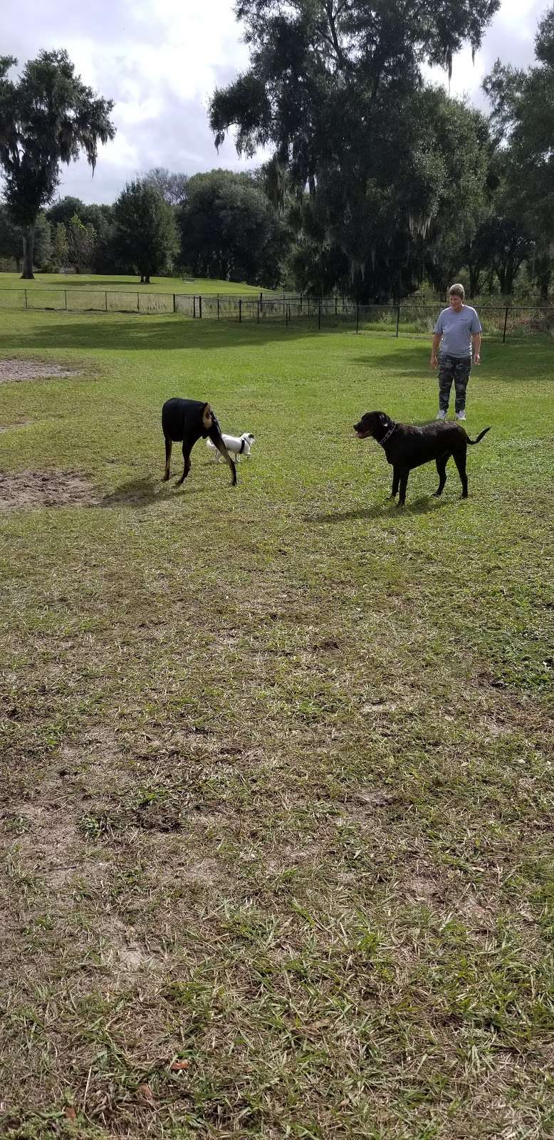 Barkley Square Dog Park | 1010 N Ridgewood Ave, DeLand, FL 32720, USA | Phone: (386) 736-5953