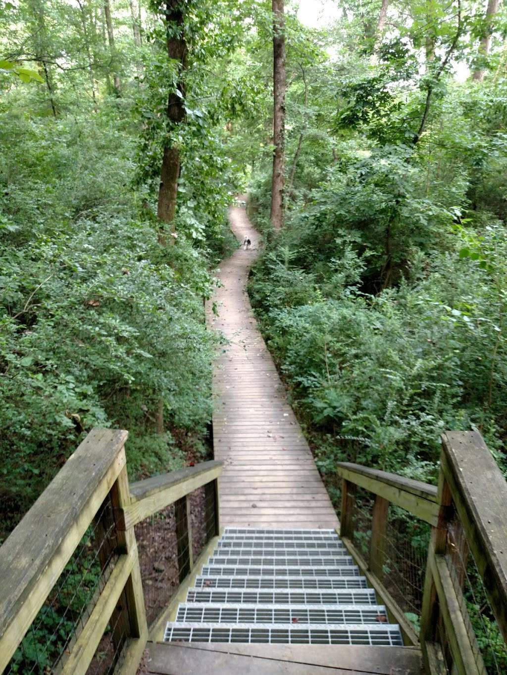 Morningside Nature Preserve | 2020 Lenox Rd NE, Atlanta, GA 30324, USA | Phone: (404) 546-6788