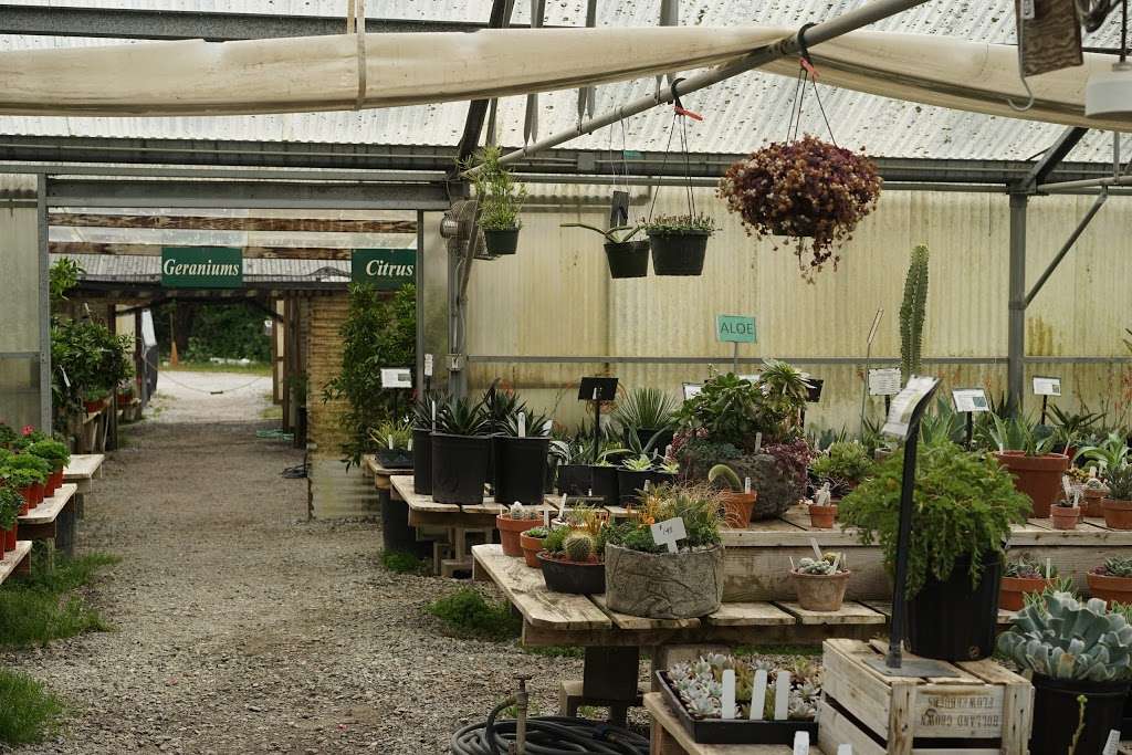 Half Moon Bay Nursery 11691 San Mateo Rd, Half Moon Bay, CA 94019