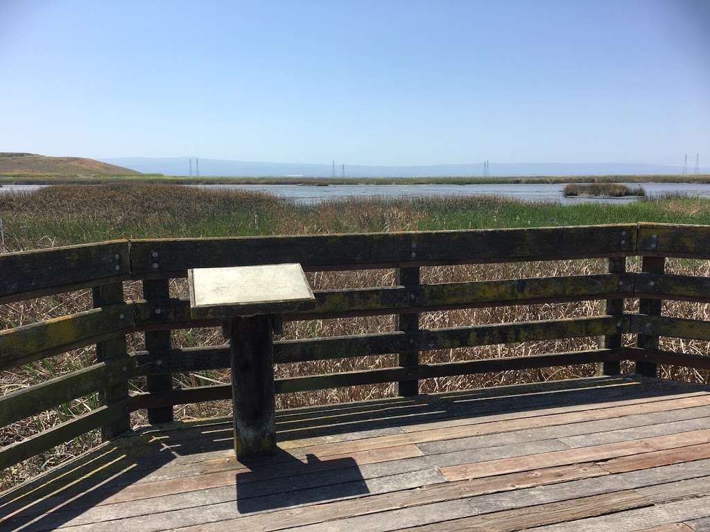 Coyote Creek Lagoon Trail | Fremont, CA 94538, USA