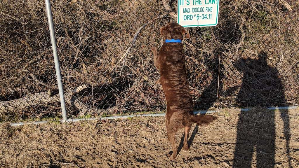 Dog Playground | 502 94th St, Ocean City, MD 21842, USA | Phone: (410) 250-0125