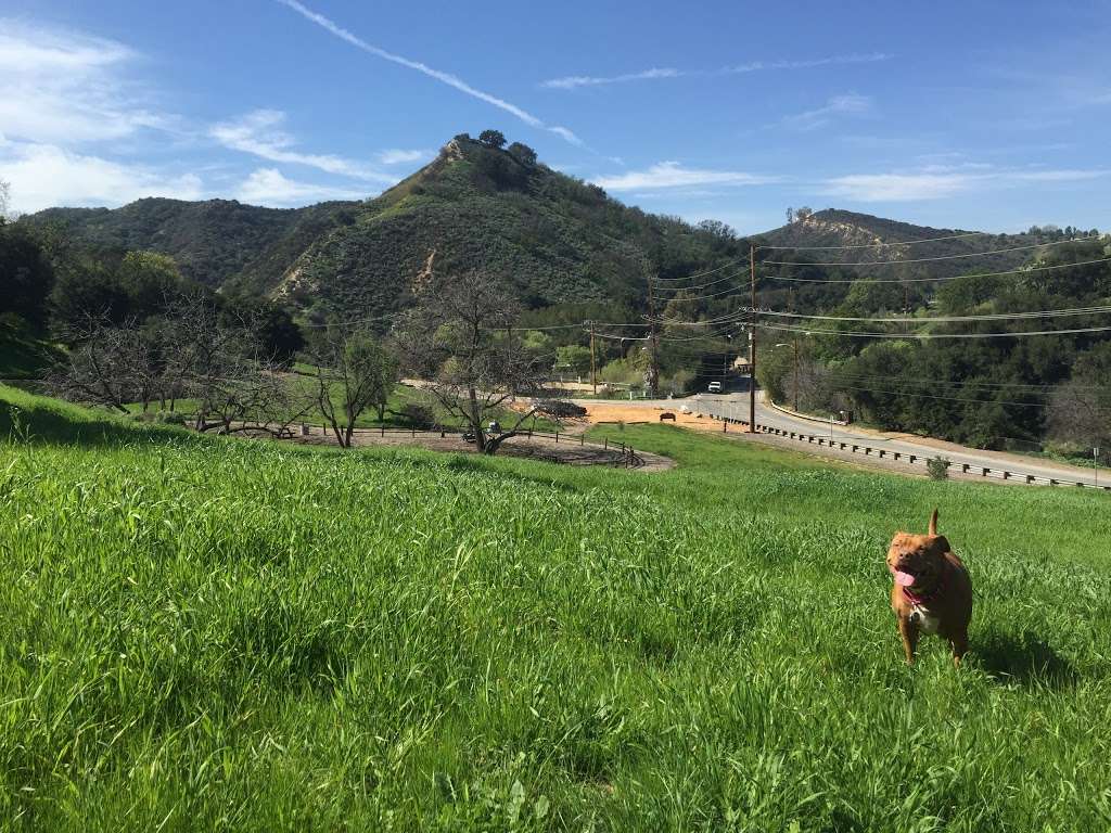 Wild Walnut Park | 23050 Mulholland Hwy, Calabasas, CA 91302, USA