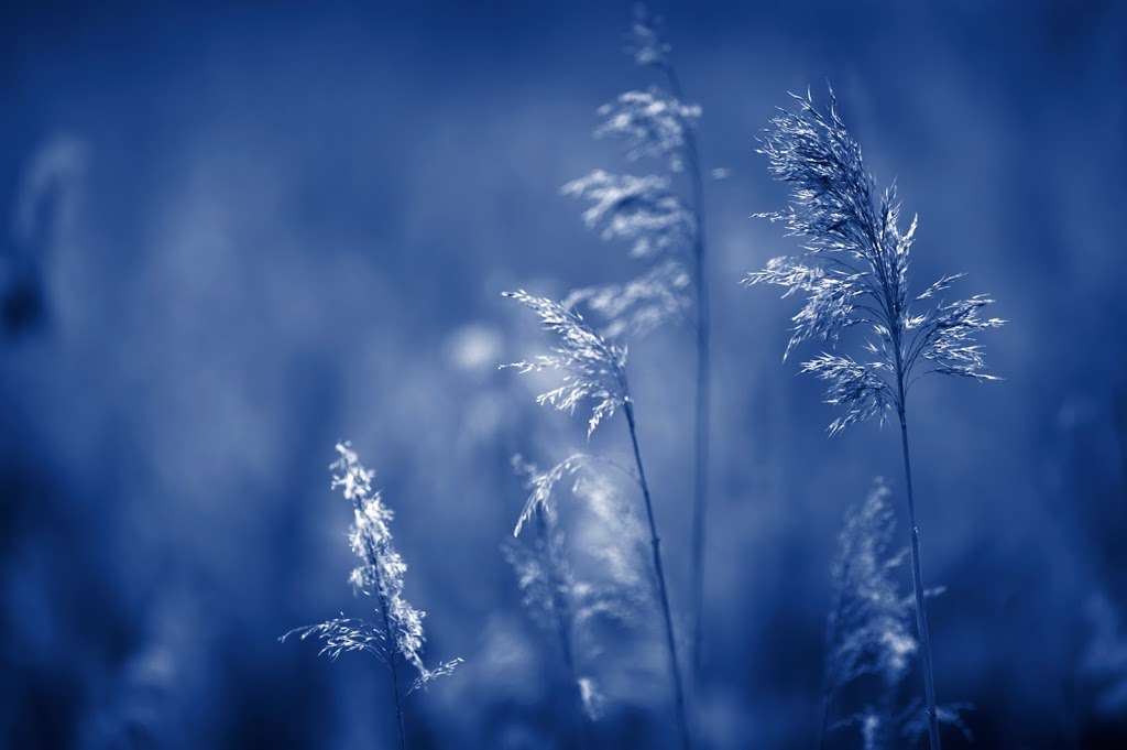 hollow reed reiki and karuna reiki | Ismays Rd, Ightham, Sevenoaks TN15 9BB, UK | Phone: 07595 299304