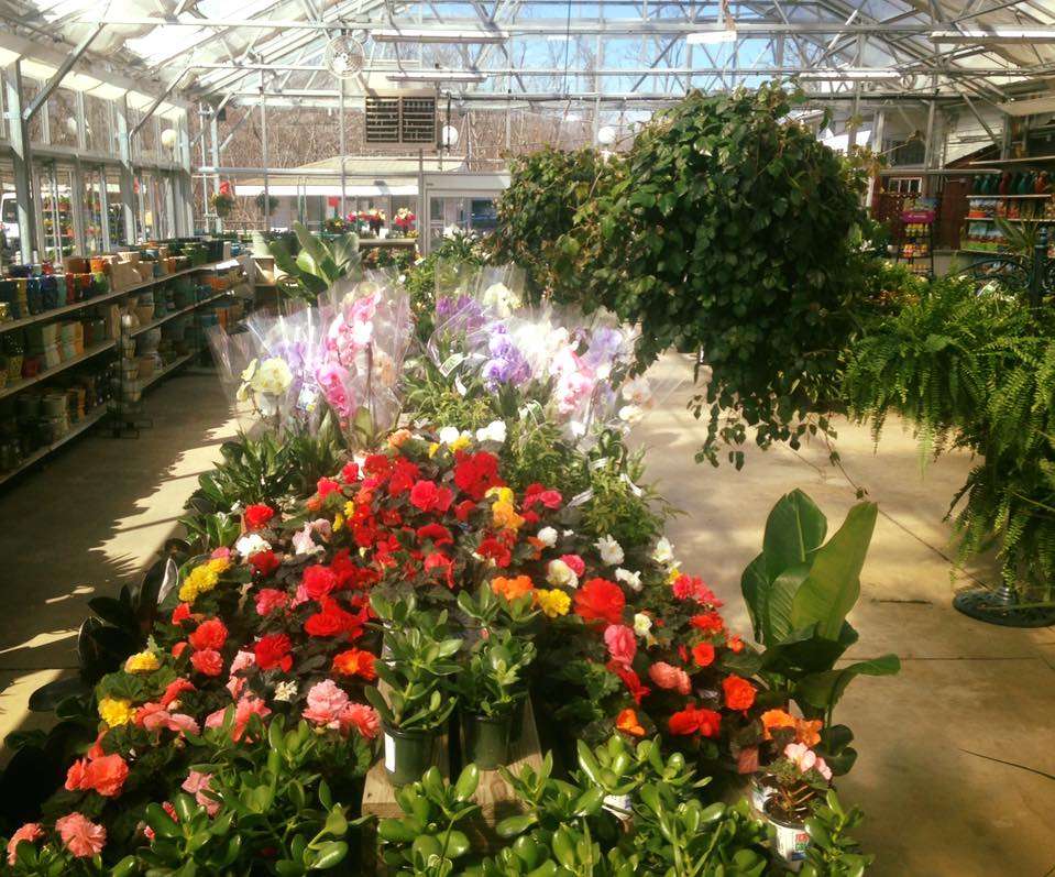 Brock Farms Home & Garden World, 4189 U.S. 9, Freehold, NJ 07728, USA