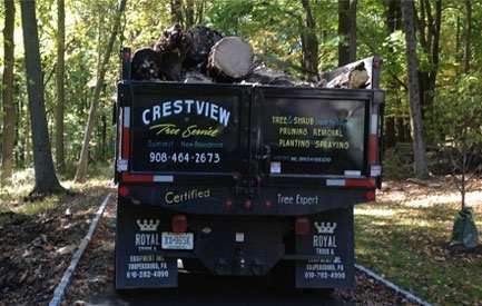 Crestview Tree And Landscape Service Inc. | 1407, 57 Magnolia Dr, New Providence, NJ 07974, USA | Phone: (908) 464-2673
