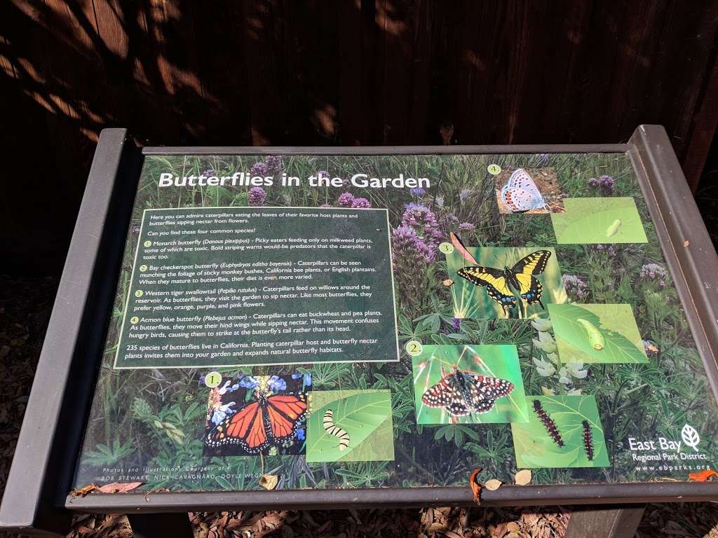 Coyote Hills Nectar Garden | Fremont, CA 94555, USA