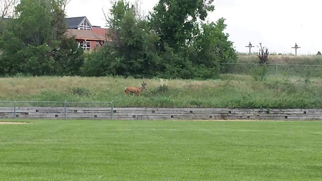 South Suburban Park | Centennial Link Trail, Littleton, CO 80120, USA