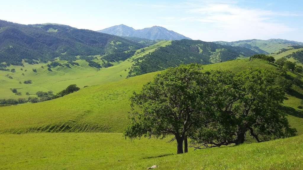 Round Valley Regional Preserve | 19450 Marsh Creek Rd, Brentwood, CA 94513, USA | Phone: (888) 327-2757