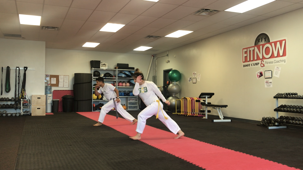 Capoeira Indianapolis | 3198 E, IN-32, Westfield, IN 46074, USA | Phone: (317) 750-0936