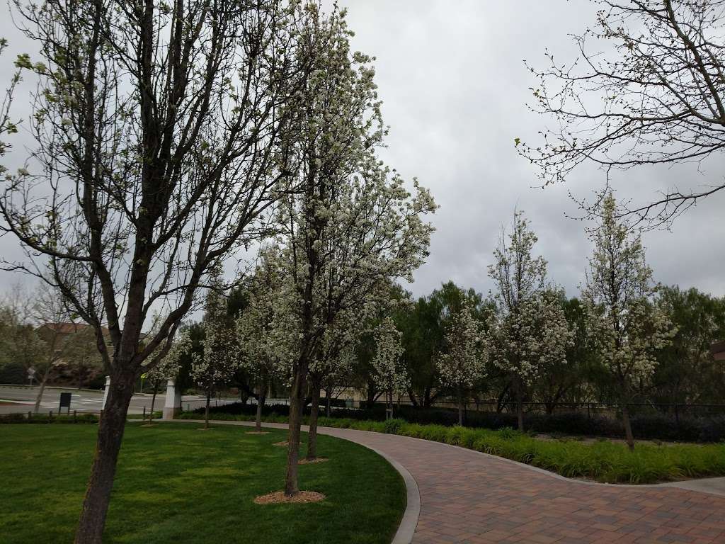 Monarch Park | 8502 N Monarch Rd, San Ramon, CA 94582, USA | Phone: (925) 973-2500