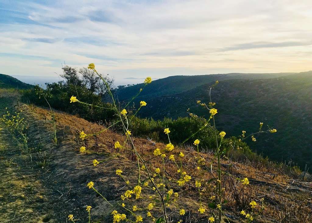 Laguna Coast Wilderness-Dartmoor/Dunagan-Gate 14 | 401-599 Dartmoor St, Laguna Beach, CA 92651, USA