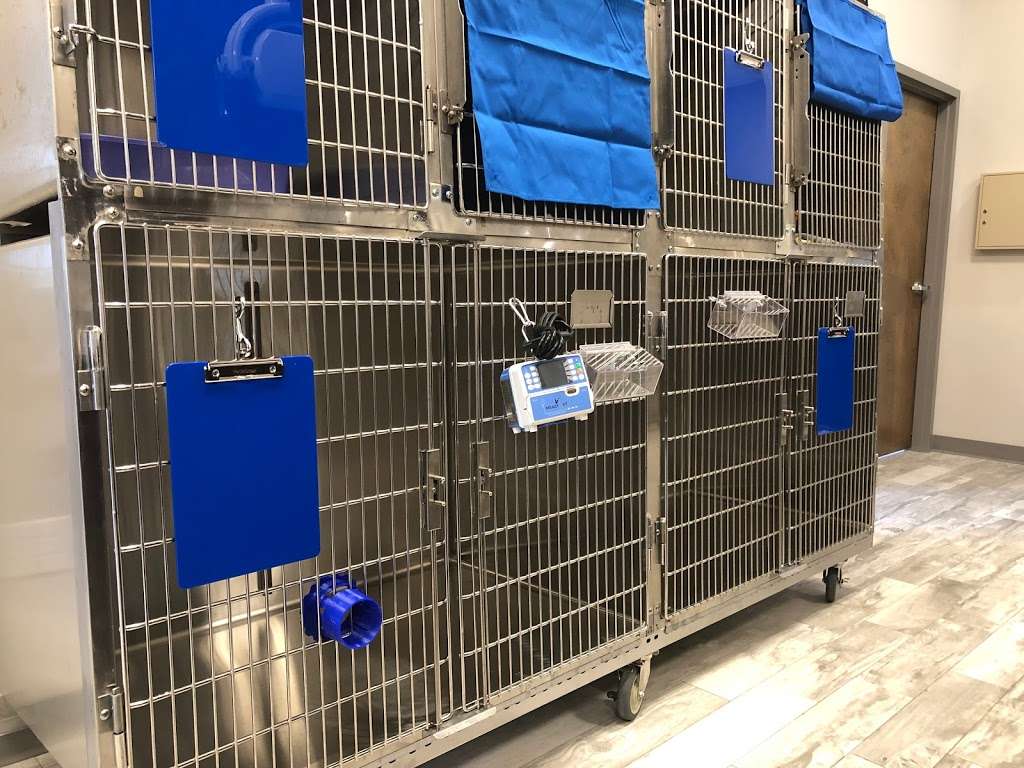 Chain Of Lakes Animal Clinic 14387 Bridgewater Crossings Blvd