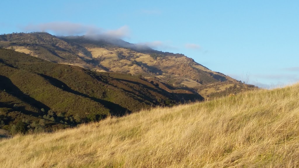 Curry Point, Mt. Diablo State Park | S Gate Rd, Blackhawk, CA 94506, USA