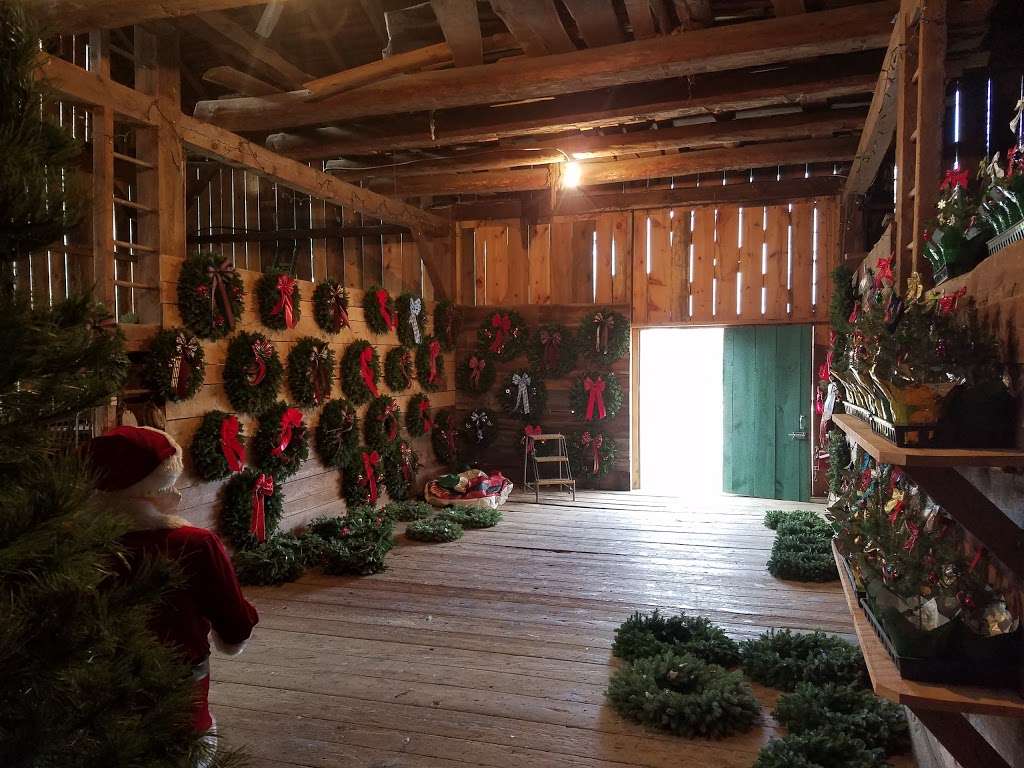 Helen & Eds Tree Farm | 3758 St Marys Rd, Wapwallopen, PA 18660, USA | Phone: (570) 868-6252