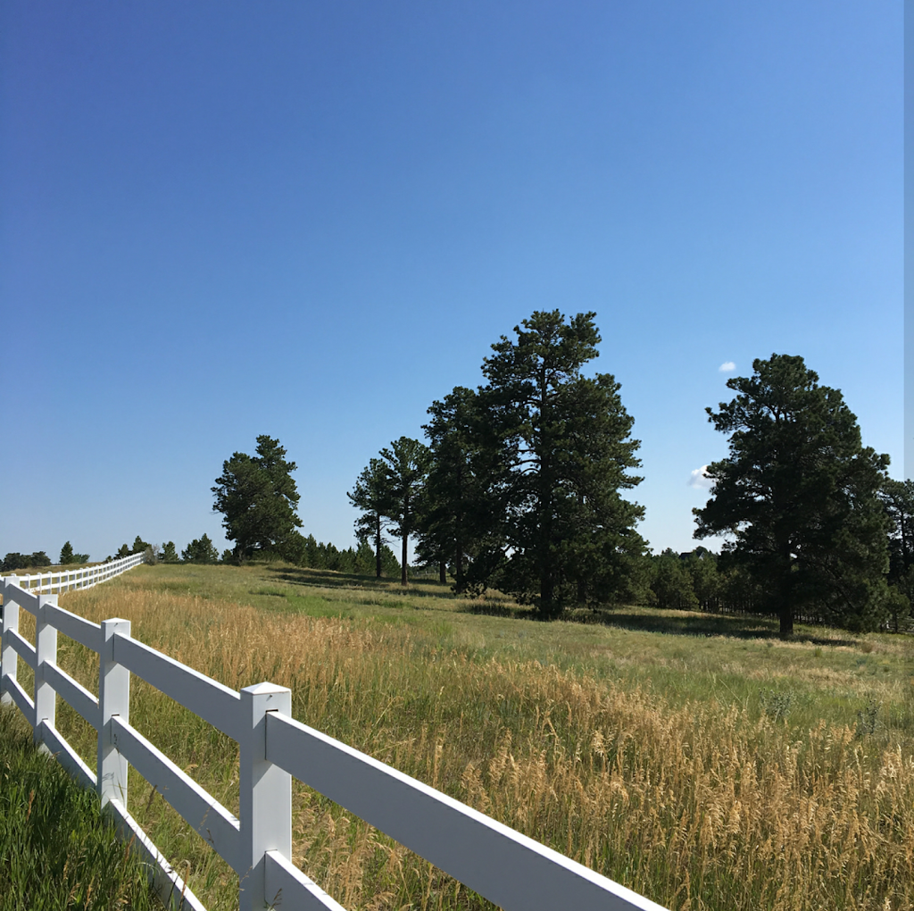 Millbrook Equestrian - Horseback Riding Lessons | 40273 Co Rd 13, Elizabeth, CO 80107, USA | Phone: (303) 898-3376