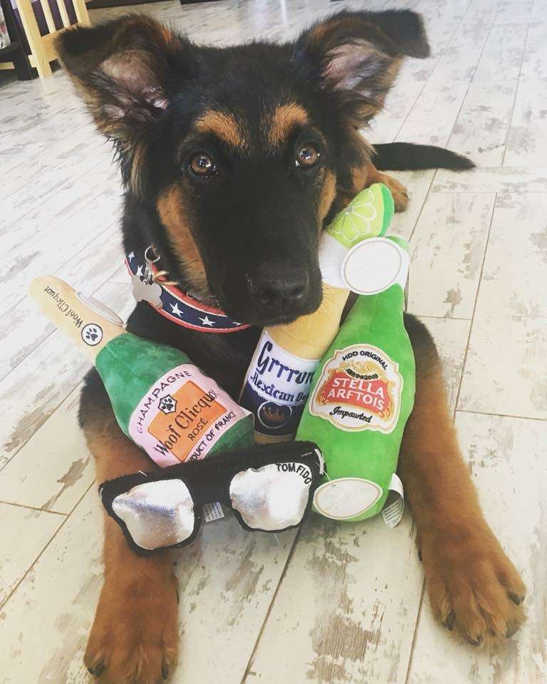 Faux Paws Wholesome Pet Shop | 318 Springfield Ave, Summit, NJ 07901, USA | Phone: (908) 516-2701