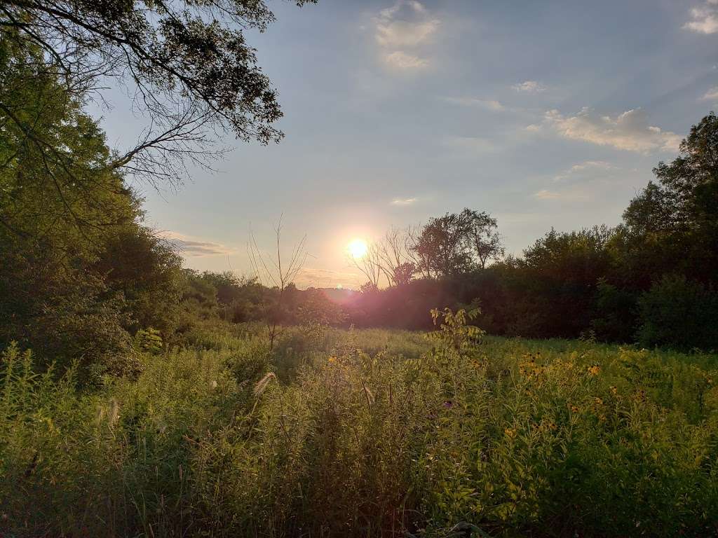 Timber Ridge County Forest Preserve | West Chicago, IL 60185, USA | Phone: (630) 876-5900