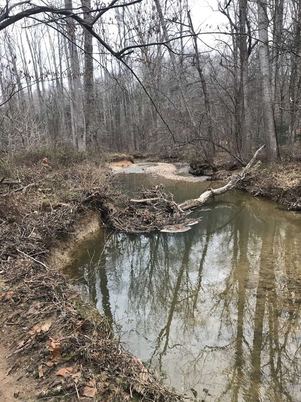 Tributary bridge #1 Cross County Trail | Vale Rd, Oakton, VA 22124