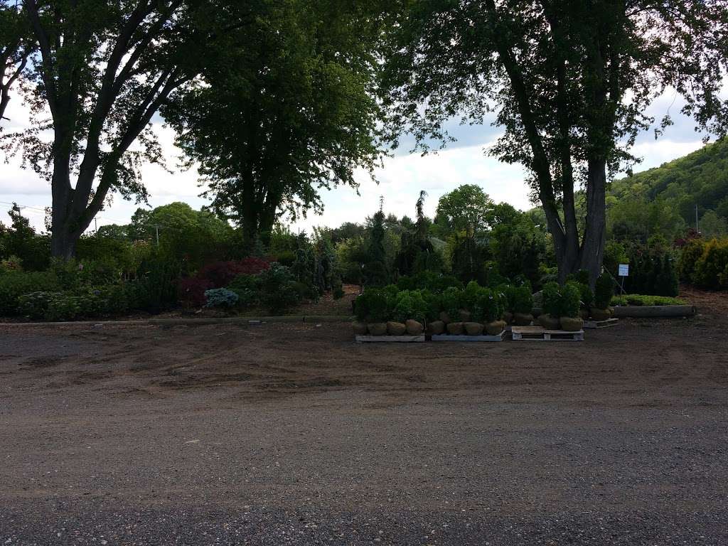 Cosmos Landscaping and Nursery | 548 Danbury Rd, New Milford, CT 06776, USA | Phone: (860) 354-1735