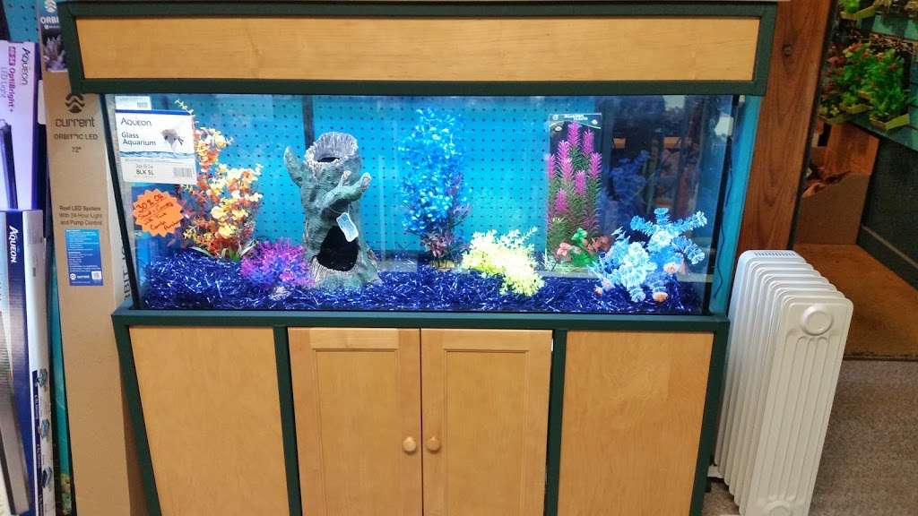 Aquatic Creations Ltd | 2909 Urbana Pike, Ijamsville, MD 21754, USA | Phone: (301) 831-8200