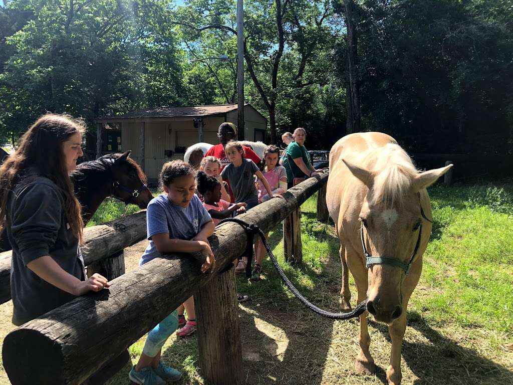 Ascend Horseback Riding | 5218 Kiwanis Rd, Dallas, TX 75236, USA | Phone: (469) 998-2267