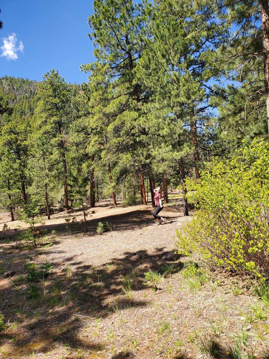 Palmer Lake Reservoir Trailhead | Palmer Lake, CO 80133, USA