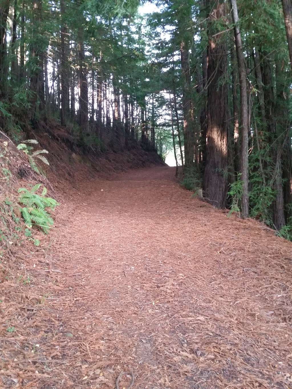 Indian Tree Open Space Preserve | Novato, CA 94947, USA