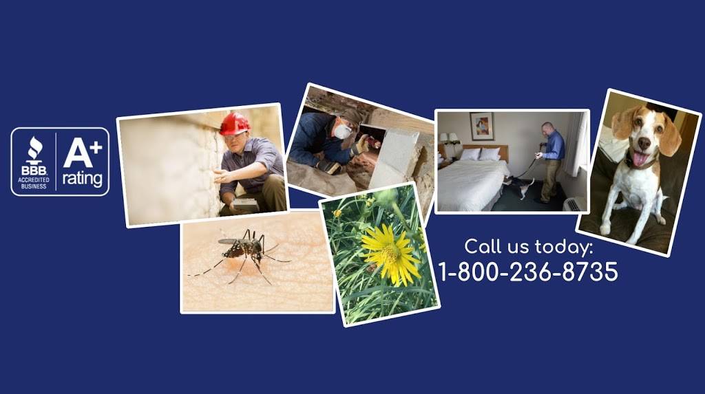 Wil-Kil Pest Control | W140 N5910, Lilly Rd, Menomonee Falls, WI 53051, USA | Phone: (414) 438-8420