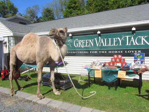 Green Valley Tack | 792 County Rd 1, Pine Island, NY 10969, USA | Phone: (845) 258-3564