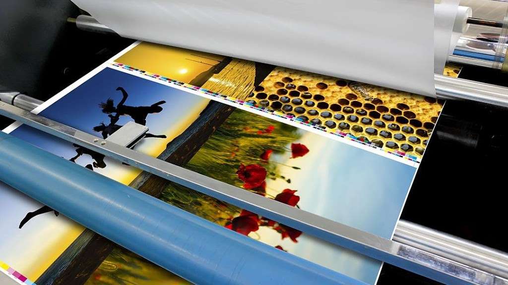 Stacys Printing | 6320 Cypress Gardens Blvd, Winter Haven, FL 33884 | Phone: (863) 662-3163