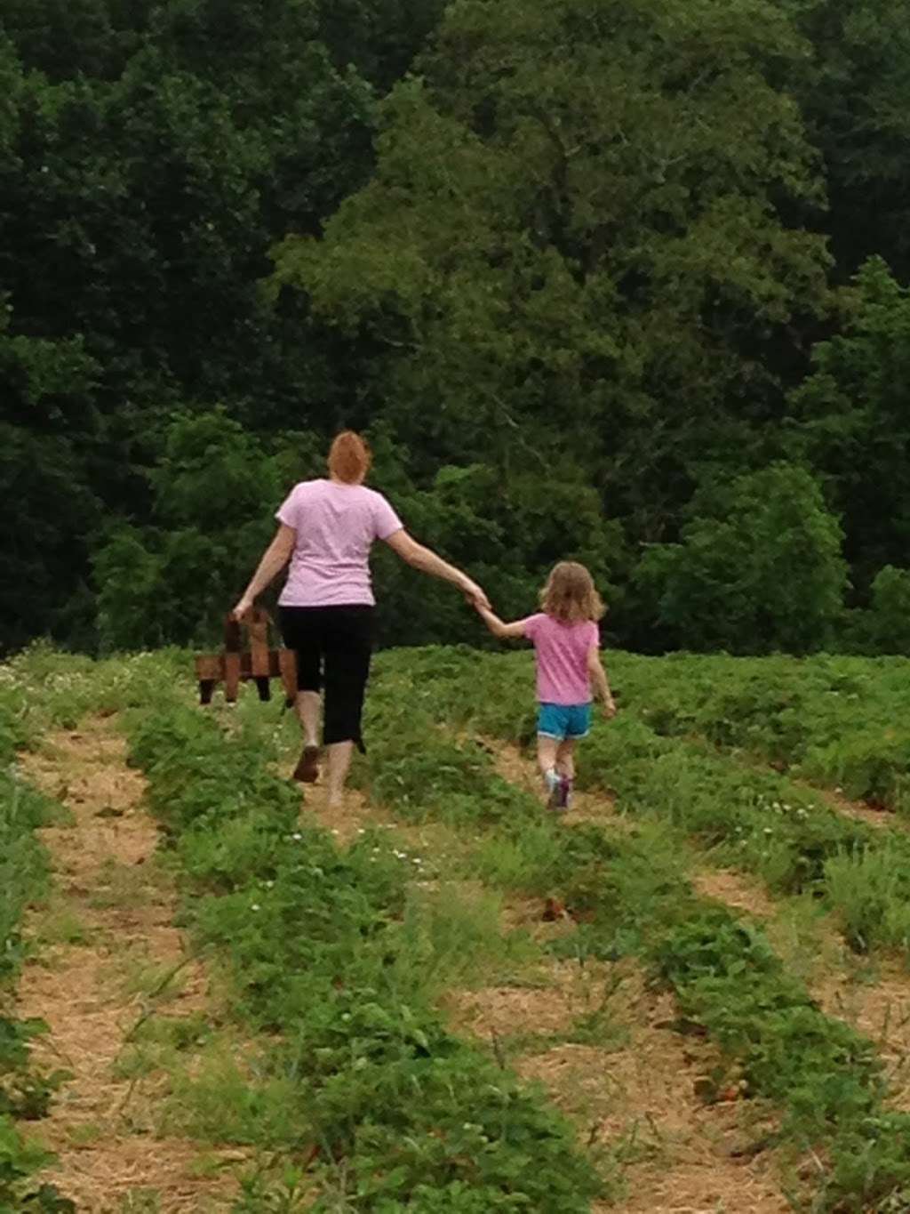 Barefoot Farm 6621 Bluebird Ln, Dover, PA 17315, USA BusinessYab