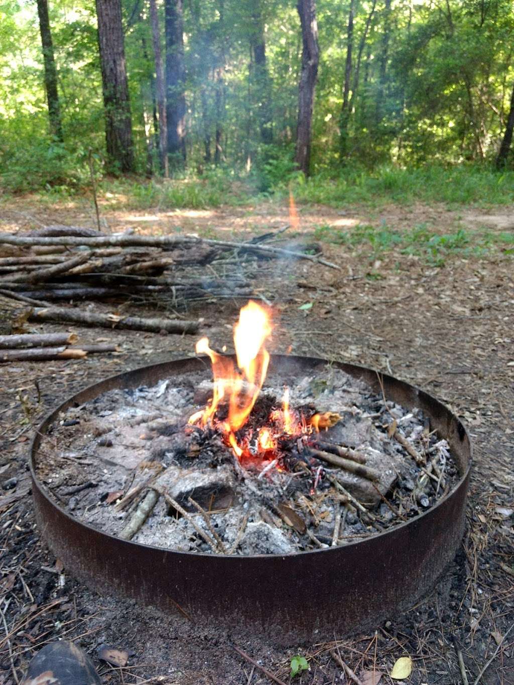 Pole Creek Campsite | Montgomery, TX 77356, USA