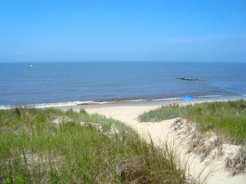 Cape May Pet-Friendly Vacation Rentals | 1303 Rose Hill Pkwy, North Cape May, NJ 08204 | Phone: (609) 440-1845