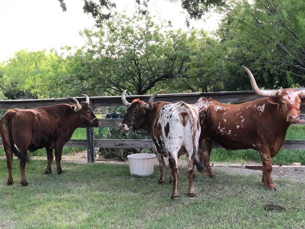 River Ranch Stockyards | 500 NE 23rd St, Fort Worth, TX 76164, USA | Phone: (817) 624-1111