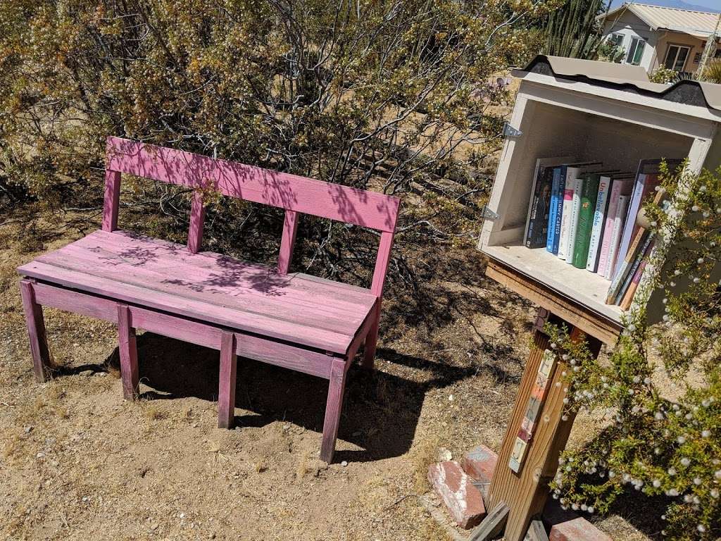 Little Free Library #169 | 16990 Yucca Rd, Apple Valley, CA 92307, USA